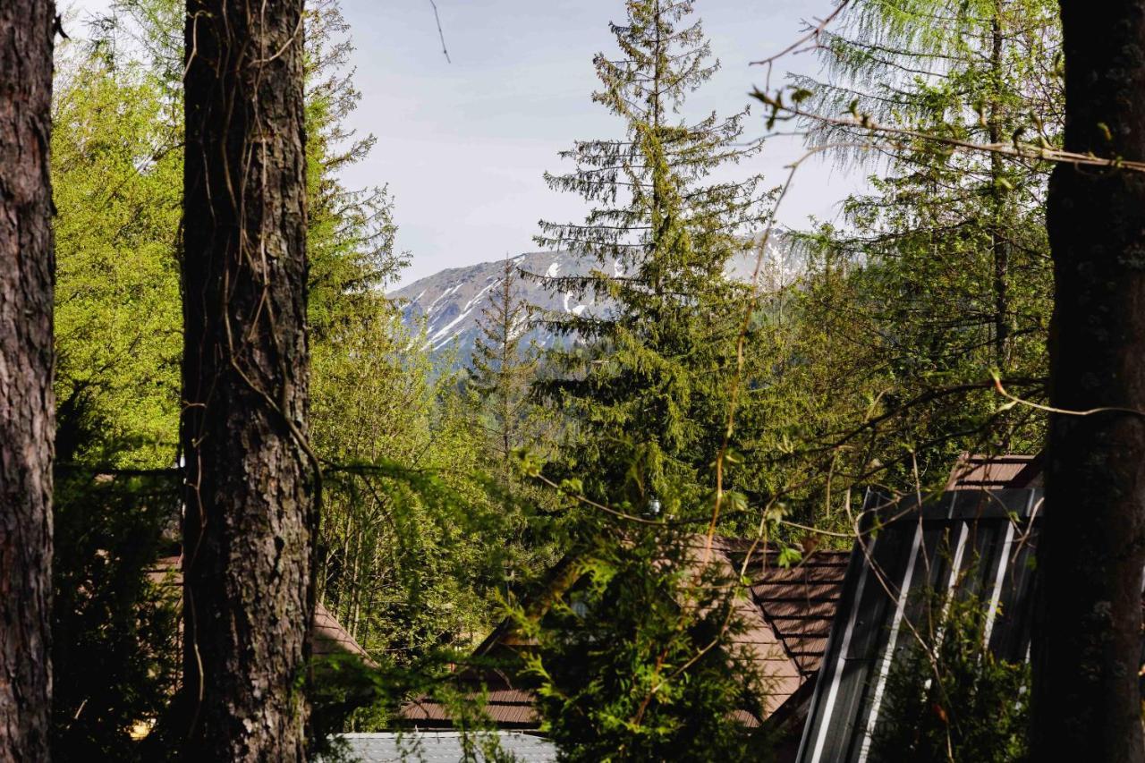 Apartamenty Chata Pod Reglami Zakopane Eksteriør billede