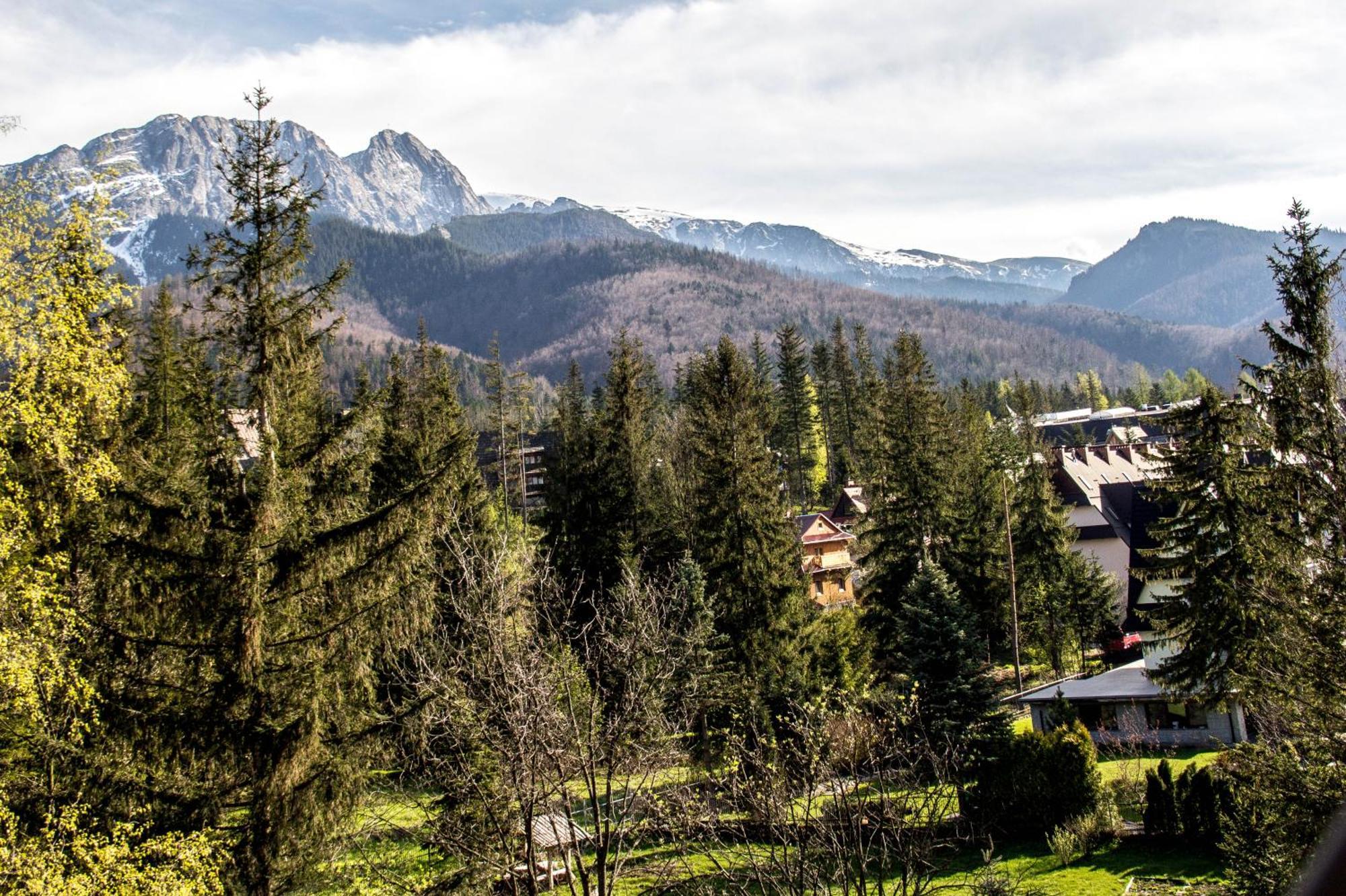 Apartamenty Chata Pod Reglami Zakopane Værelse billede